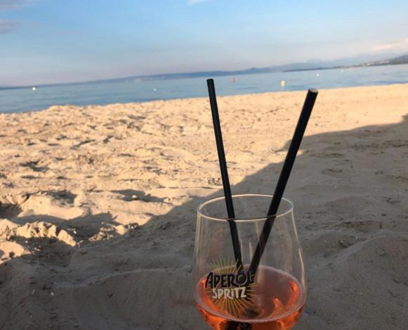 Charmante Maison De Village A 50M De La Plage Excénevex Dış mekan fotoğraf